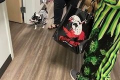 Trunk or Treat Indoors 2023