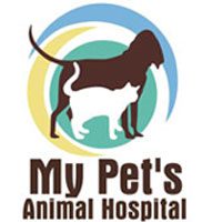 About My Pets Animal Hospital - Lakeland Florida