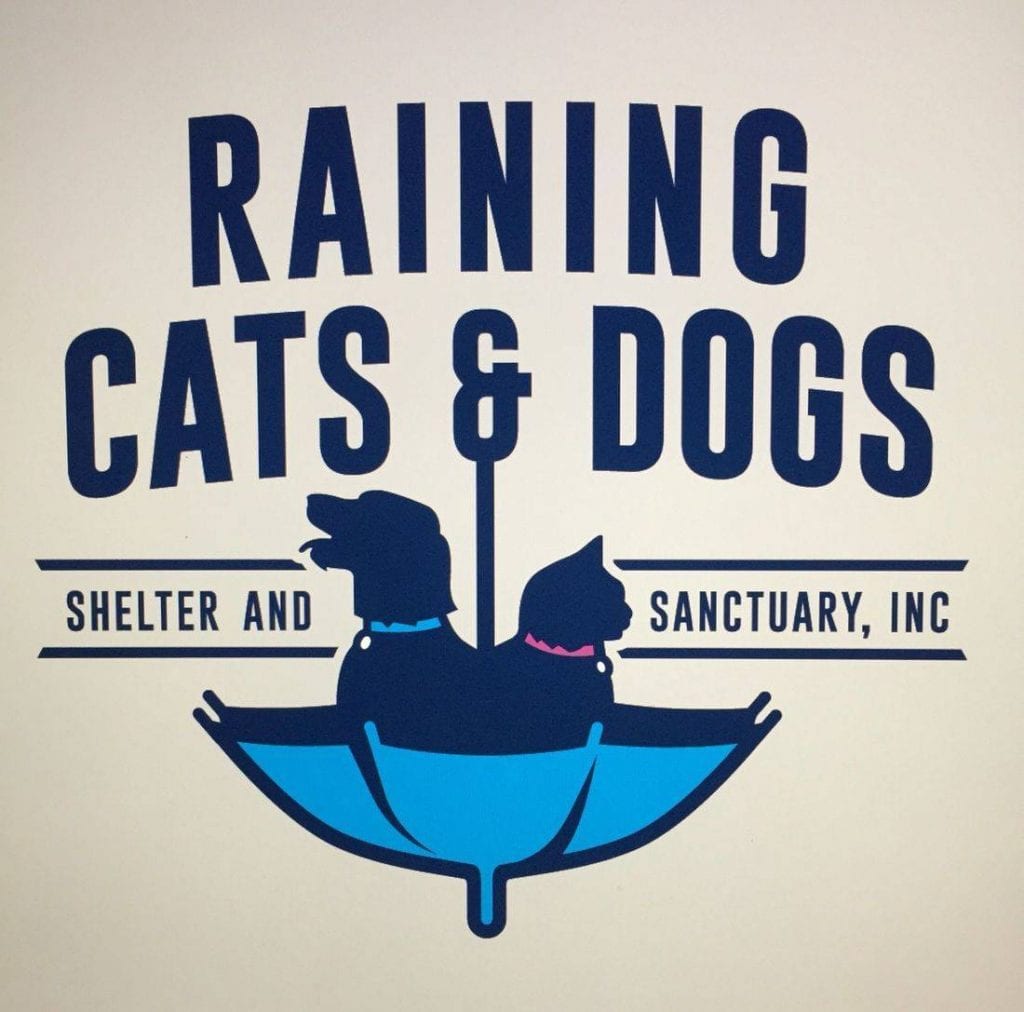 Raining cats and dogs shelter and sanctuary - Plant City, Florida