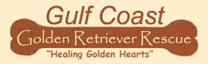 Gulf Coast Golden Retriever Rescue