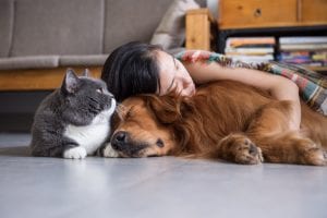 Pet Microchipping by My Pet's Animal Hospital