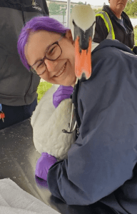 Images: Dr. Price Dickson - My Pet's Animal Hospital